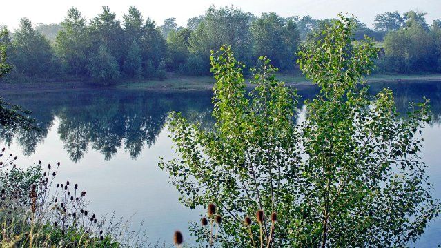 Fernglas geschnappt und ab ins Engerser Feld 