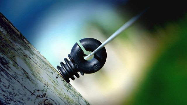 Weidezaungerät bei Arzbach gestohlen