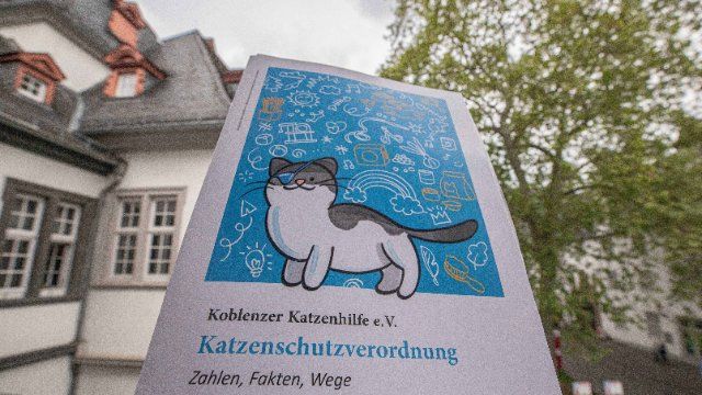 Neue Katzenschutzverordnung tritt in Kraft
