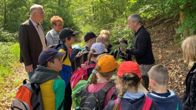 Dem Wald auf der Spur
