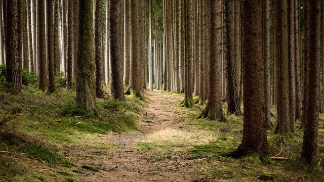 Neue Struktur für den Naturschutz in Rheinland-Pfalz