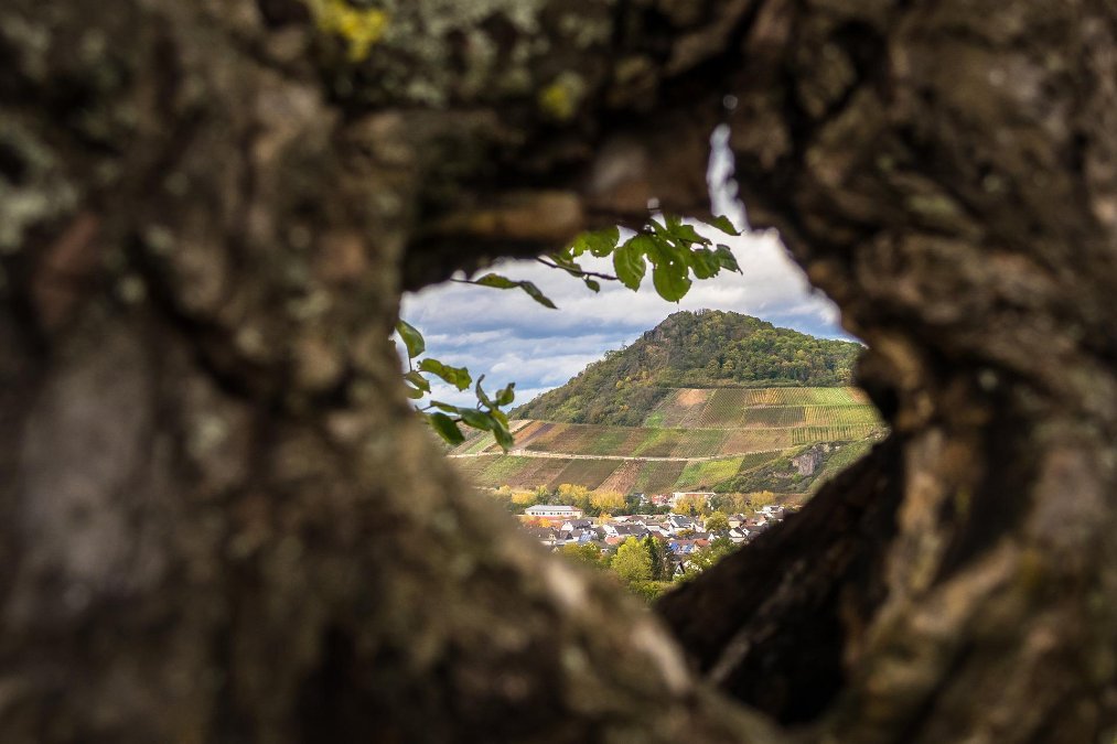 Kritik an ADD-Chef nach Aussage zu Urlaubsreise seiner Vize Kritik an ADD-Chef nach Aussage zu Urlaubsreise seiner Vize