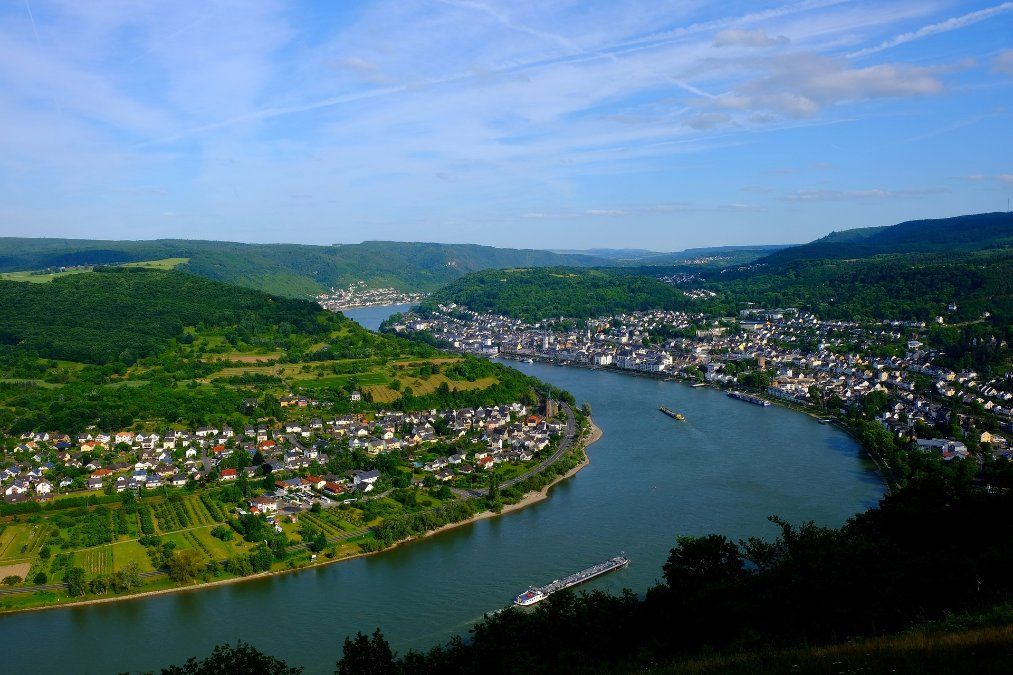 Boppard: Naturschutzgebiet extrem artenreich Boppard: Naturschutzgebiet extrem artenreich