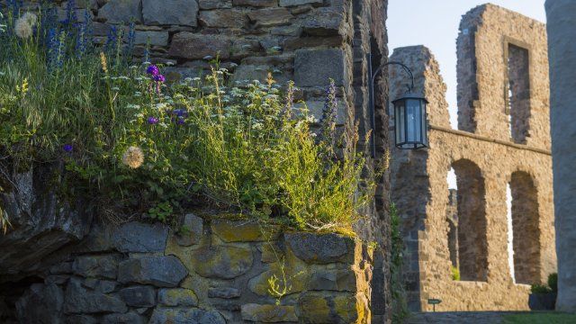 Kräuter-Märchen-Rundgang auf Burg Olbrück