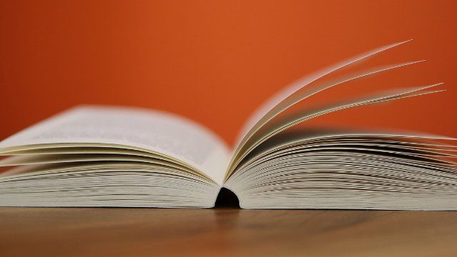 Sommerliche Lesung in der Stadtbibliothek Neuwied 