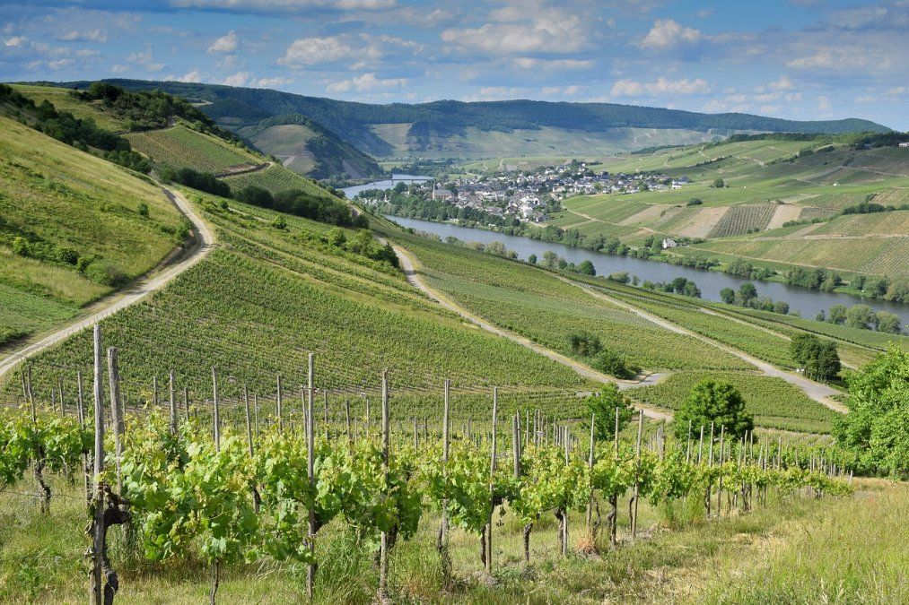 Wenn der Sommer gefährlich wird: Hitzeaktionspläne in Rheinland-Pfalz Wenn der Sommer gefährlich wird: Hitzeaktionspläne in Rheinland-Pfalz
