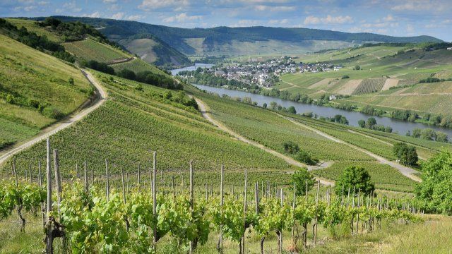 Wenn der Sommer gefährlich wird: Hitzeaktionspläne in Rheinland-Pfalz