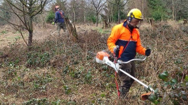 Großes "Reinemachen" im Nassauer Kinderwald