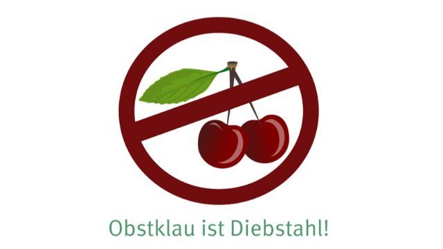 Obstklau ist Diebstahl: Finger weg von der Ernte
