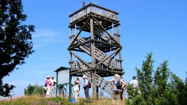Vom Urwald zur Wacholderheide