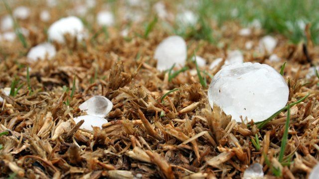 Statistik: Mehr Sturm- und Hagelschäden in Rheinland-Pfalz