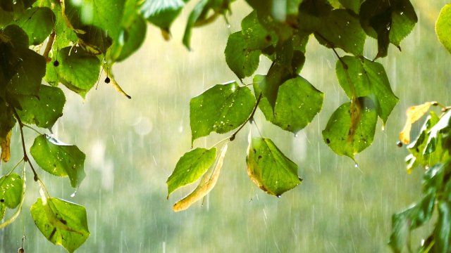 Starkregen und Gewitter in den kommenden Tagen