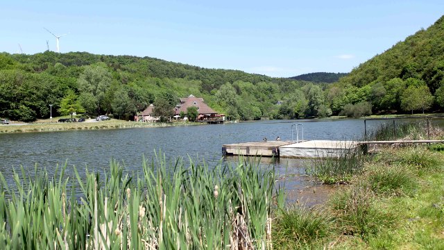 Badebereich des Riedener Waldsees für drei Tage gesperrt 