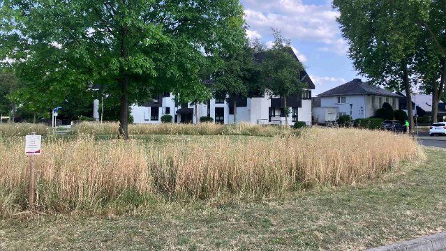 Blühstreifen im Stadtgebiet werden gemäht