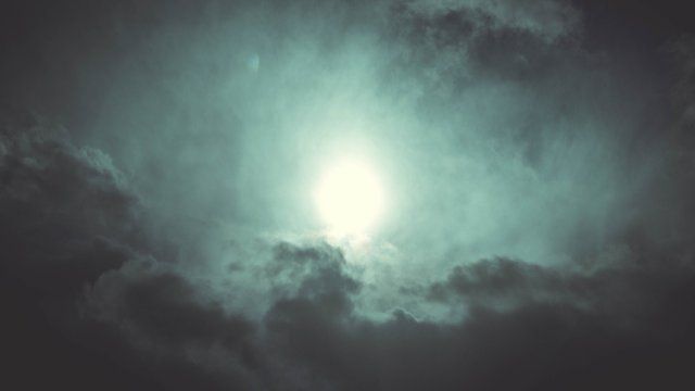 Westerwald: Umgestürzte Bäume, beschädigte Autos und Stromausfall bei Unwetter
