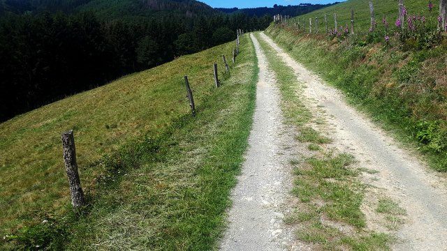 Eifelsteig erneut mit Deutschem Wandersiegel zertifiziert