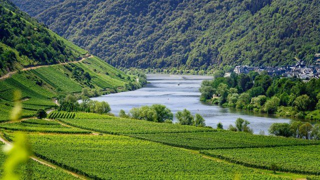 Rheinland-Pfälzischer Tourismus auf den Weg der Besserung