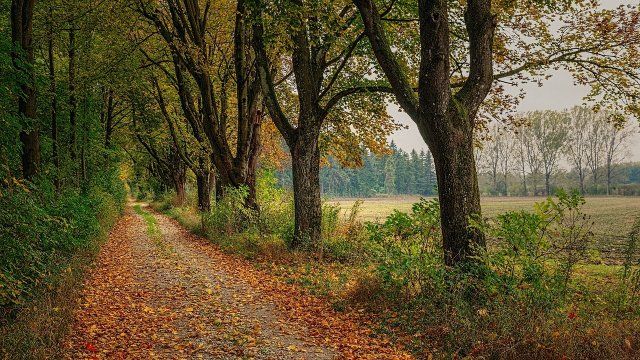 Endlich wieder wandern: Neuwieder Rundwanderweg neu eröffnet