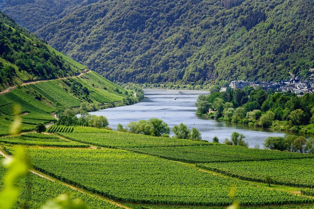 Rheinland-Pfälzischer Tourismus auf den Weg der Besserung Rheinland-Pfälzischer Tourismus auf den Weg der Besserung