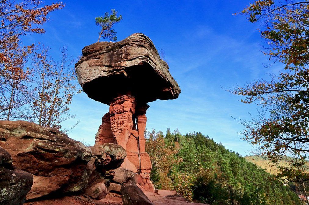 Deutschlands Naturwunder gesucht - auch Orte in Rheinland-Pfalz dabei Deutschlands Naturwunder gesucht - auch Orte in Rheinland-Pfalz dabei