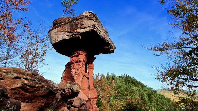 Deutschlands Naturwunder gesucht - auch Orte in Rheinland-Pfalz dabei