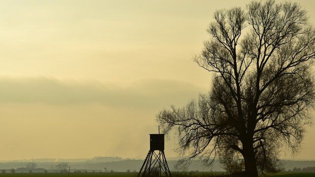 Umweltministerin Eder: Kompromisslinien bei Jagdgesetz bis Januar ausloten