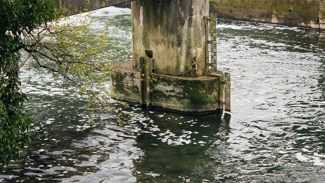 Höchststände an Rhein, Mosel und Saar bald erreicht