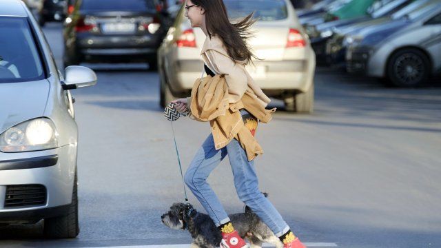 Pfefferspray gegen Hunde und 12-Jährige verwendet