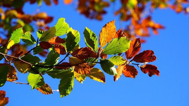 Zweitwärmster Herbst seit Messbeginn in Rheinland-Pfalz und Saarland