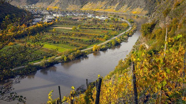 Zahnradbahnen an der Mosel doch nicht manipuliert