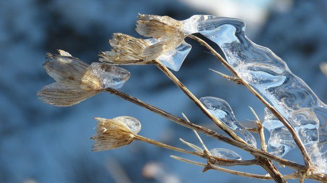 Weiterer Schneefall für den Norden von RLP