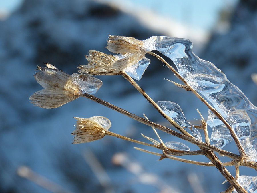 Weiterer Schneefall für den Norden von RLP Weiterer Schneefall für den Norden von RLP