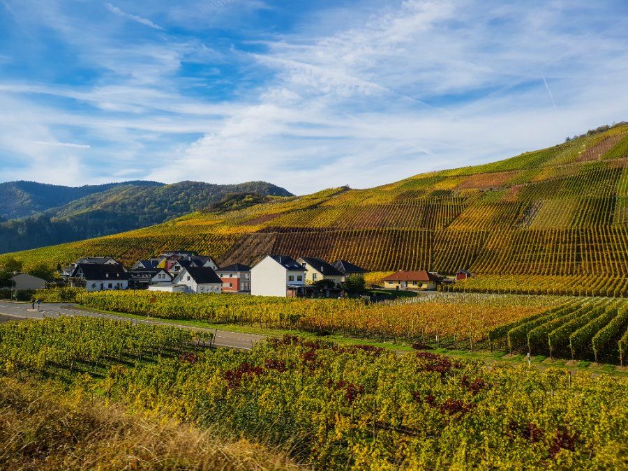 Umweltministerin Eder: Wiederaufbau des Ahrtals soll 2024 Fahrt aufnehmen Umweltministerin Eder: Wiederaufbau des Ahrtals soll 2024 Fahrt aufnehmen