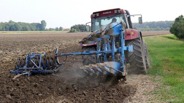 Landwirte erhalten rund 175 Millionen Euro vom Land Rheinland-Pfalz in 2023