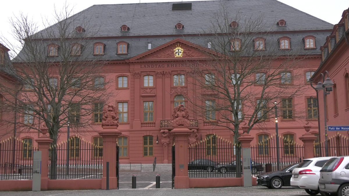 Mehrere Hundert Landwirte protestierten vor dem Landtag