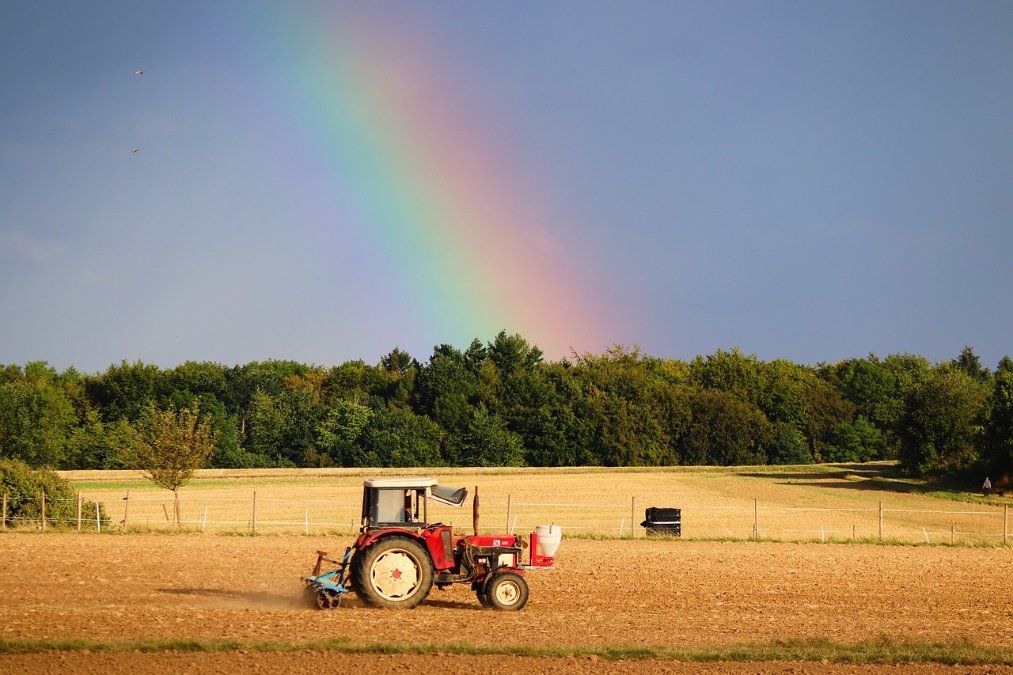Erster Sieg für die Landwirte: Ampel kippt Sparpläne für die Bauern Erster Sieg für die Landwirte: Ampel kippt Sparpläne für die Bauern