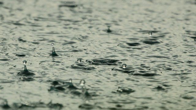 In Rheinland-Pfalz und dem Saarland bleibt es nass und windig