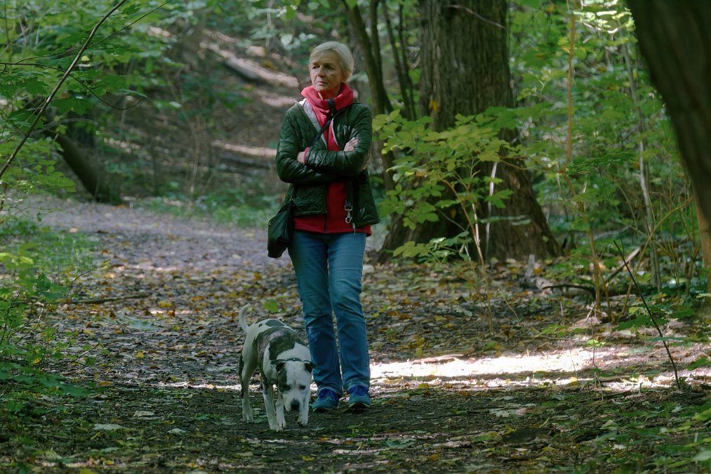 Gewalttätiger Vorfall auf dem Remstecken: Frau nach Hundebegegnung niedergeschlagen Gewalttätiger Vorfall auf dem Remstecken: Frau nach Hundebegegnung niedergeschlagen
