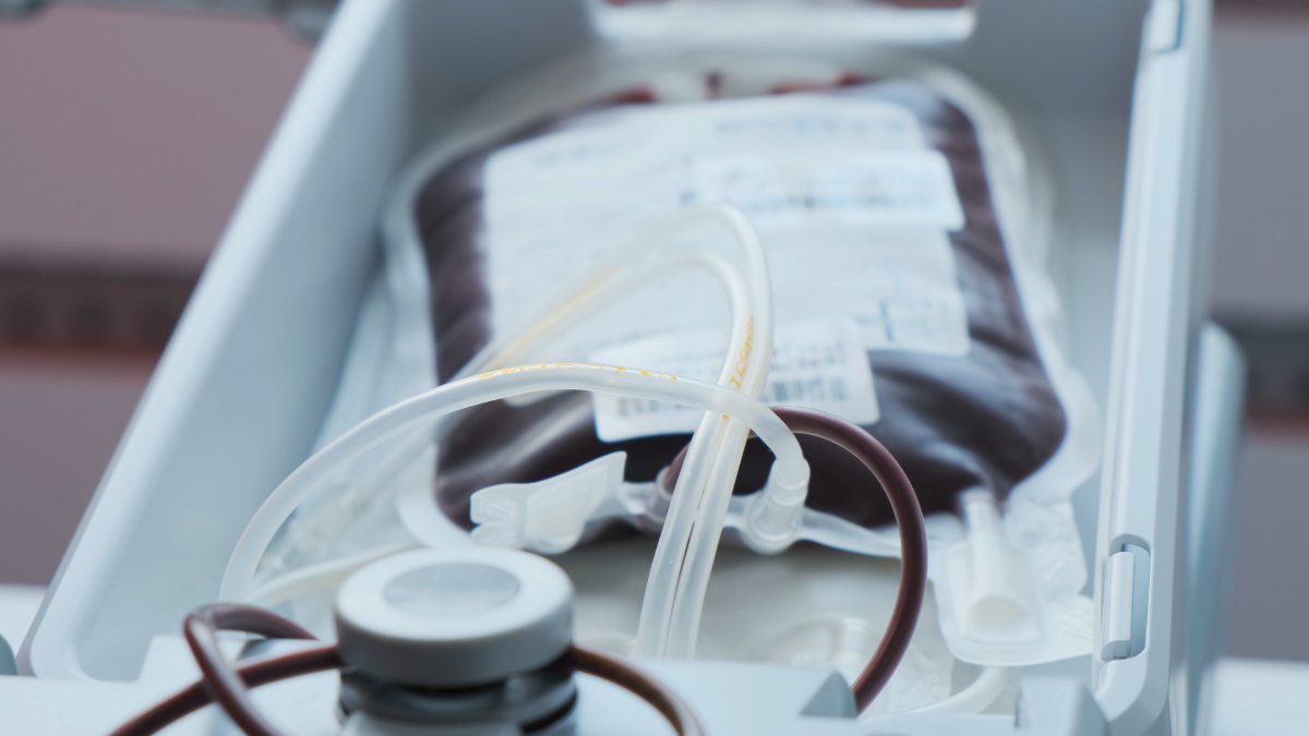 Viele Termine zum Blutspenden in Koblenz