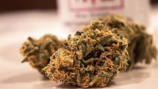 Zoll findet 20 Kilogramm Marihuana in professionellem Autoversteck