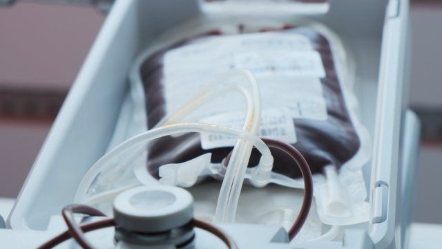 Grippe und Karneval: In Rheinland-Pfalz fehlen Blutspenden