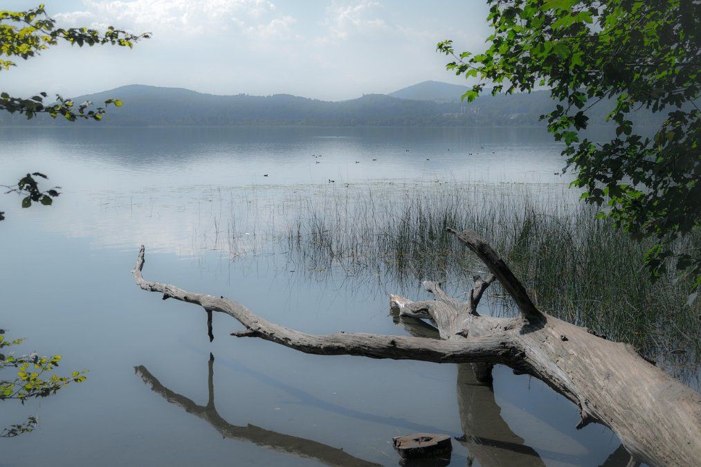 2023: Mindestens zehn Badetote in Rheinland-Pfalz 2023: Mindestens zehn Badetote in Rheinland-Pfalz
