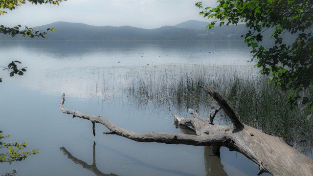 2023: Mindestens zehn Badetote in Rheinland-Pfalz