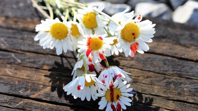 Etwas mehr Gewalttaten an Schulen angezeigt