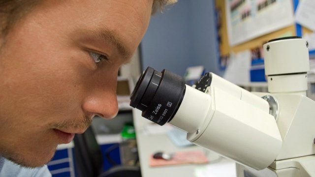 MINT-Lehre an den Hochschulen ist männlich