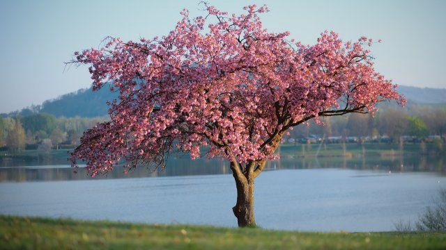 Heiteres Frühlingswetter zum Wochenbeginn