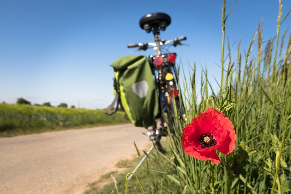 RadBusse machen ab 29. März wieder Radtouren im Grünen möglich RadBusse machen ab 29. März wieder Radtouren im Grünen möglich
