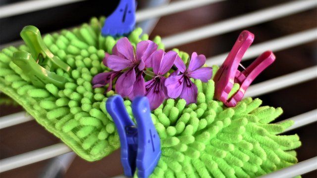 Leifheit trotz Konsumzurückhaltung mit mehr Gewinn und Umsatz