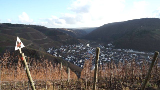 Tourismus im Ahrtal zieht nach Flutkatastrophe wieder an