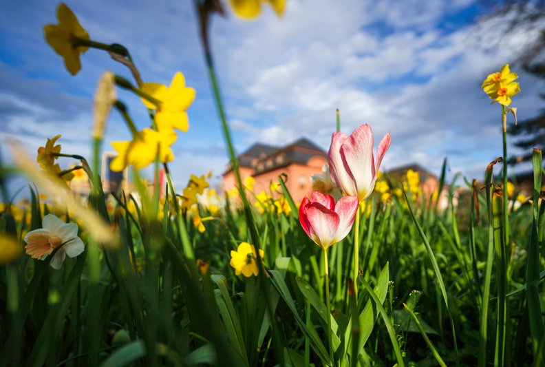 Bis zu 25 Grad! Ungewöhnlich warmes Wetter am Wochenende Bis zu 25 Grad! Ungewöhnlich warmes Wetter am Wochenende